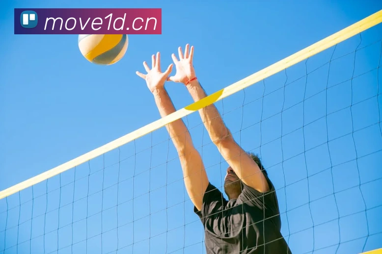 App Interface Preview